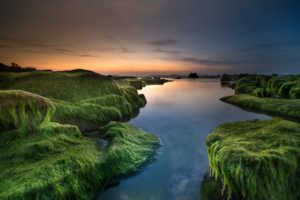 lake landscape