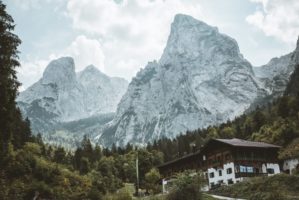 mountains city forest landscape