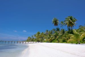 Beach landscape