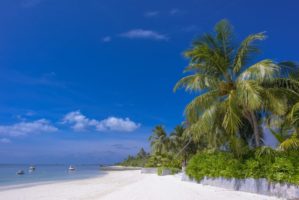 Beach landscape