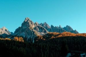 mountains landscape forest